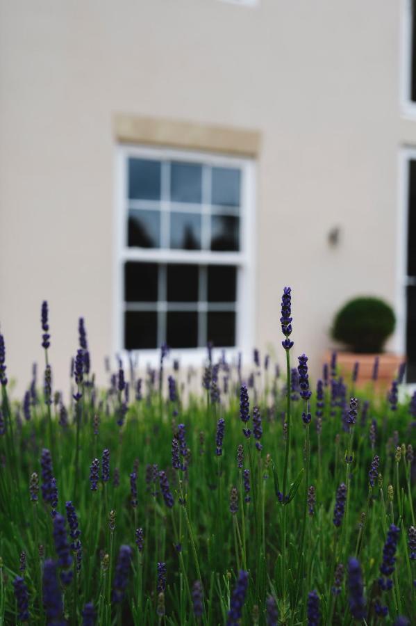 Large Country House - Hot Tub - Pool Table - Bbq - 5 Bedrooms - Log Burner Three Legged Cross Buitenkant foto